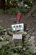 03 - Mount Hiei 